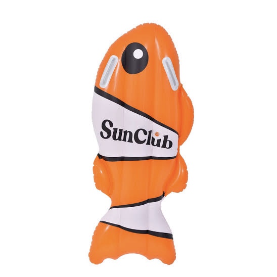 Finding Dory Swim Ring Photo
