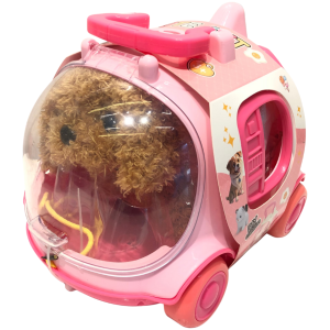 Cute Pet DIY Creation