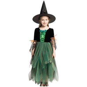 Halloween Witch Dress