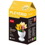 Pleyerid Creative Life Bricks Lego