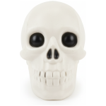 Horror Halloween Skeleton Head