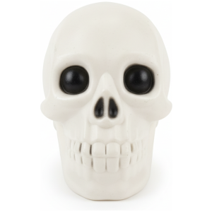 Horror Halloween Skeleton Head