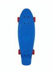 variant-4793