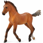 main-image-121-1.png