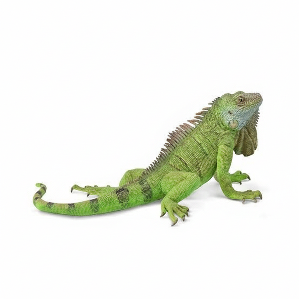 main-image-137-1.png