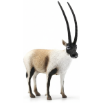 main-image-192.png
