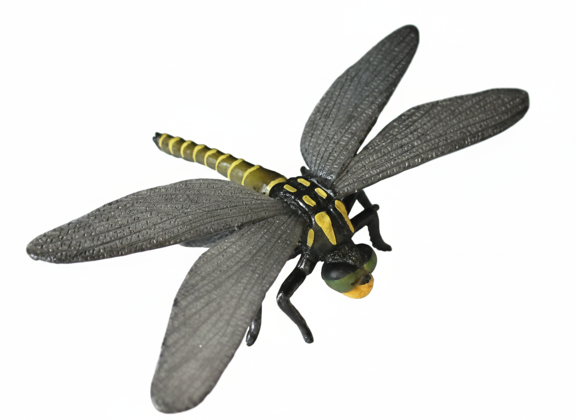 main-image-39-1.png