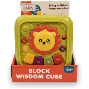 Block Wisdom Cube
