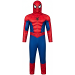 Spider Man Costume