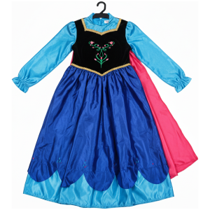 Anna Costume